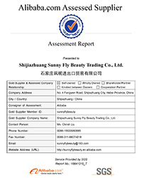 SGS-Assessment Report