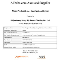 SGS-Main Product Report
