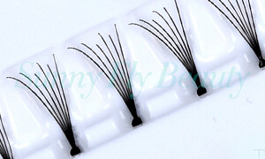 Premade Fans Flare Cluster Lashes FC06A